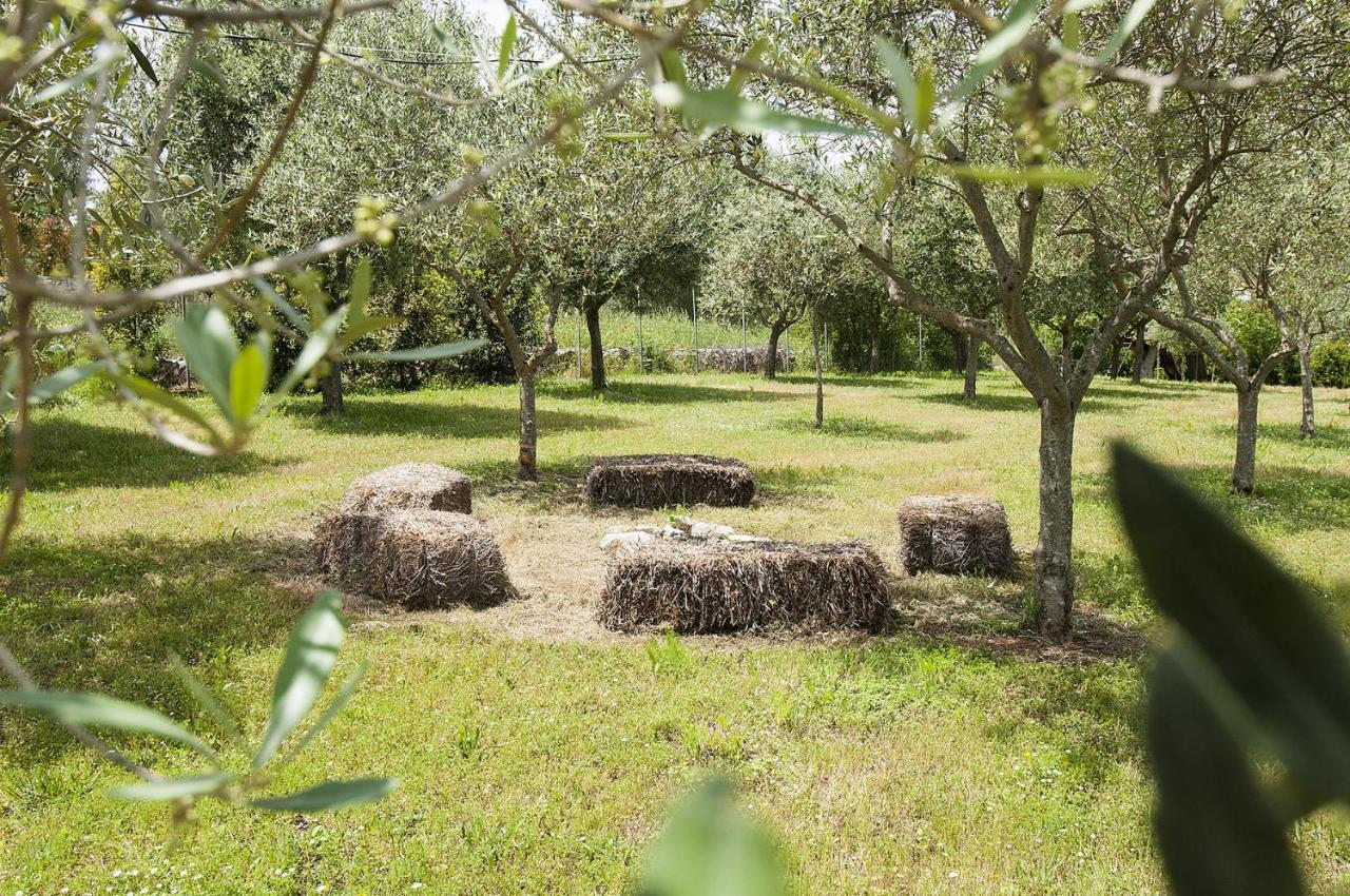 מרטינה פרנקה B&B Trulli Valle D'Itria מראה חיצוני תמונה