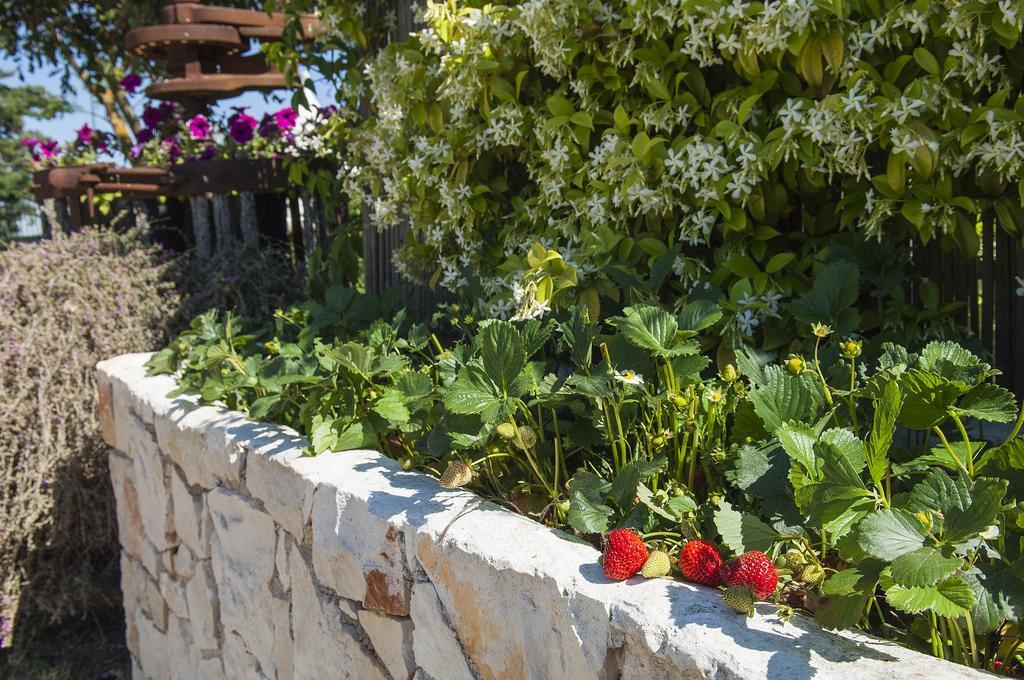 מרטינה פרנקה B&B Trulli Valle D'Itria מראה חיצוני תמונה